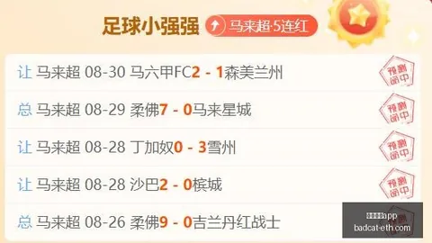 2026赛季惊艳表现，足球博彩app平台，澳大利亚连战连胜，菲律宾遭遇挑战盘点